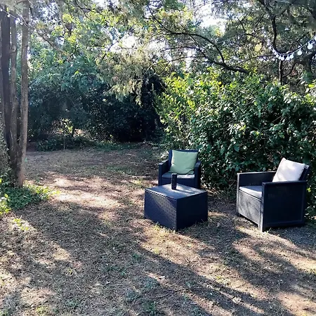 Les Lucioles * Bagard